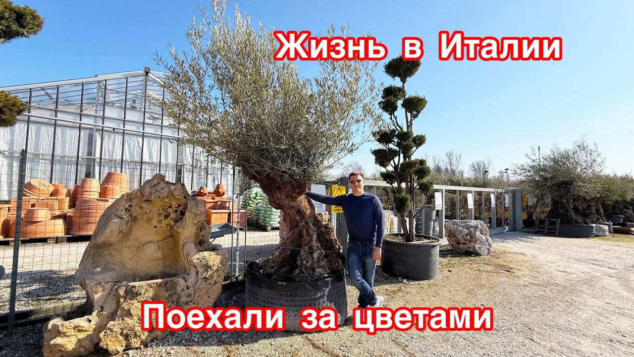 Покупаем растения для своего участка | #Цены на растения в Италии 