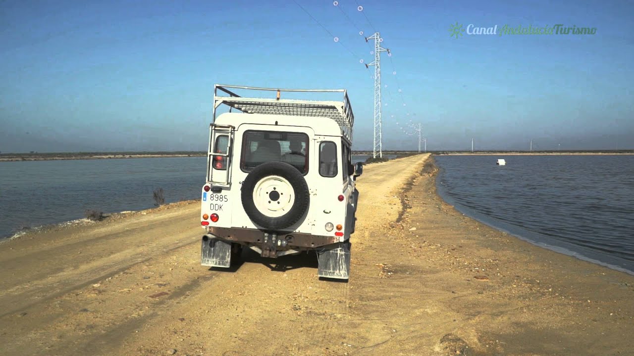 Ruta marismas y Do&ntilde;ana.Sanl&uacute;car de Barrameda.C&aacute;diz