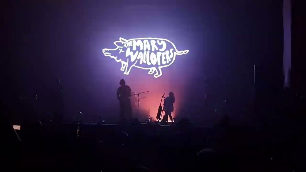 The Mary Wallopers - The Merry ploughboy & All for me grog - Live at the Fairview 20 June 2025