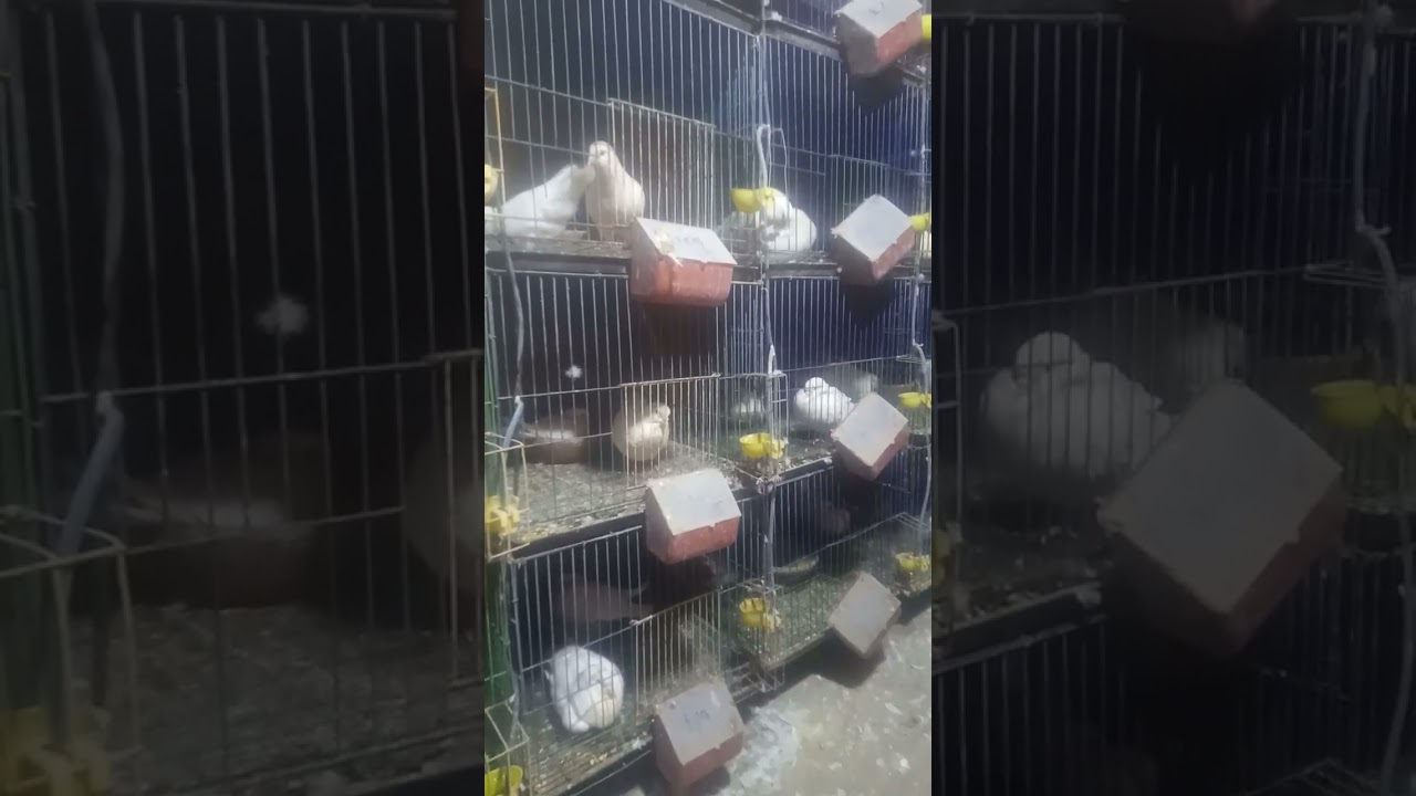 خطوات عمل مشروع حمام