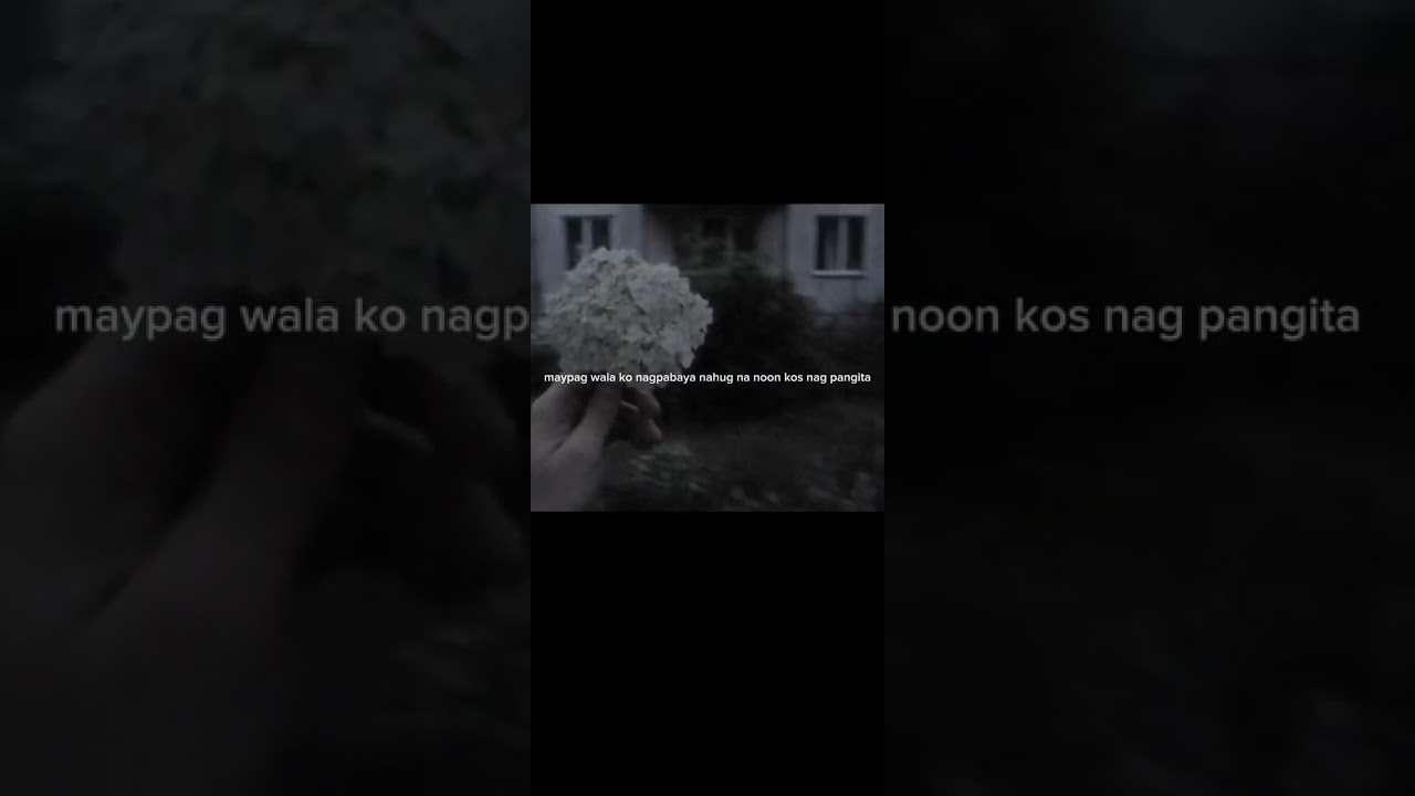 Faildi - Nox Je - Jenax - Adios dan