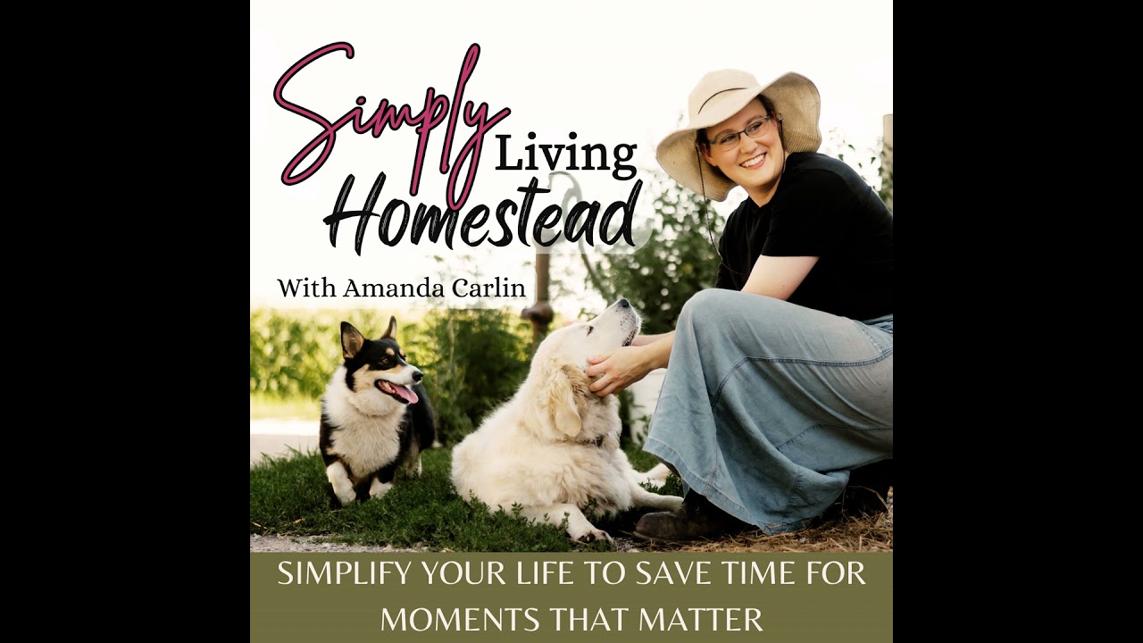 46 | Why Your Home Organization Keep Failing: Finding Systems That Work For You!