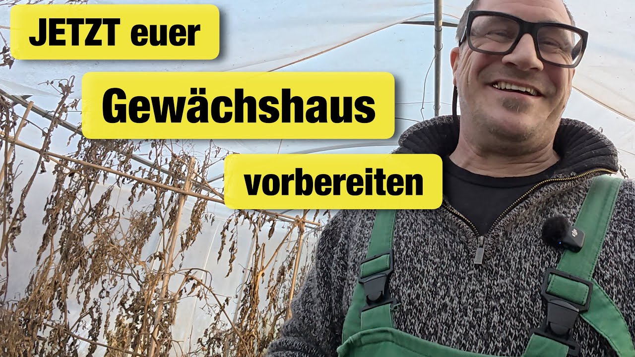 Gewächshaus, Hühner, Kiwi pflanzen