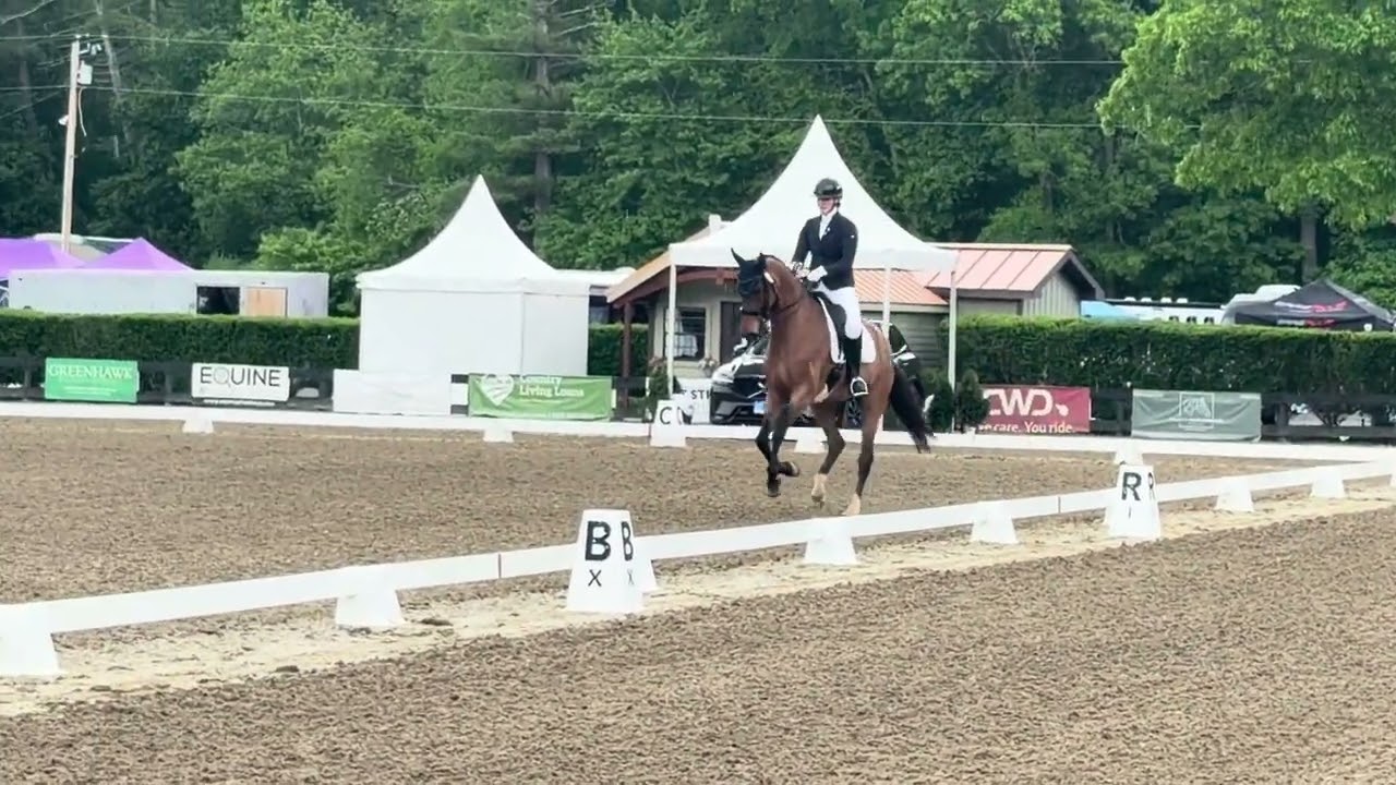 Logan Green and Kaliber SP - FEI junior freestyle