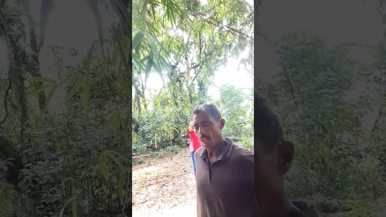 OSMAR CORREIA SALMOS 23,1O SENHOR E MEU PASTOR NADA MIM FALTARÁ 
