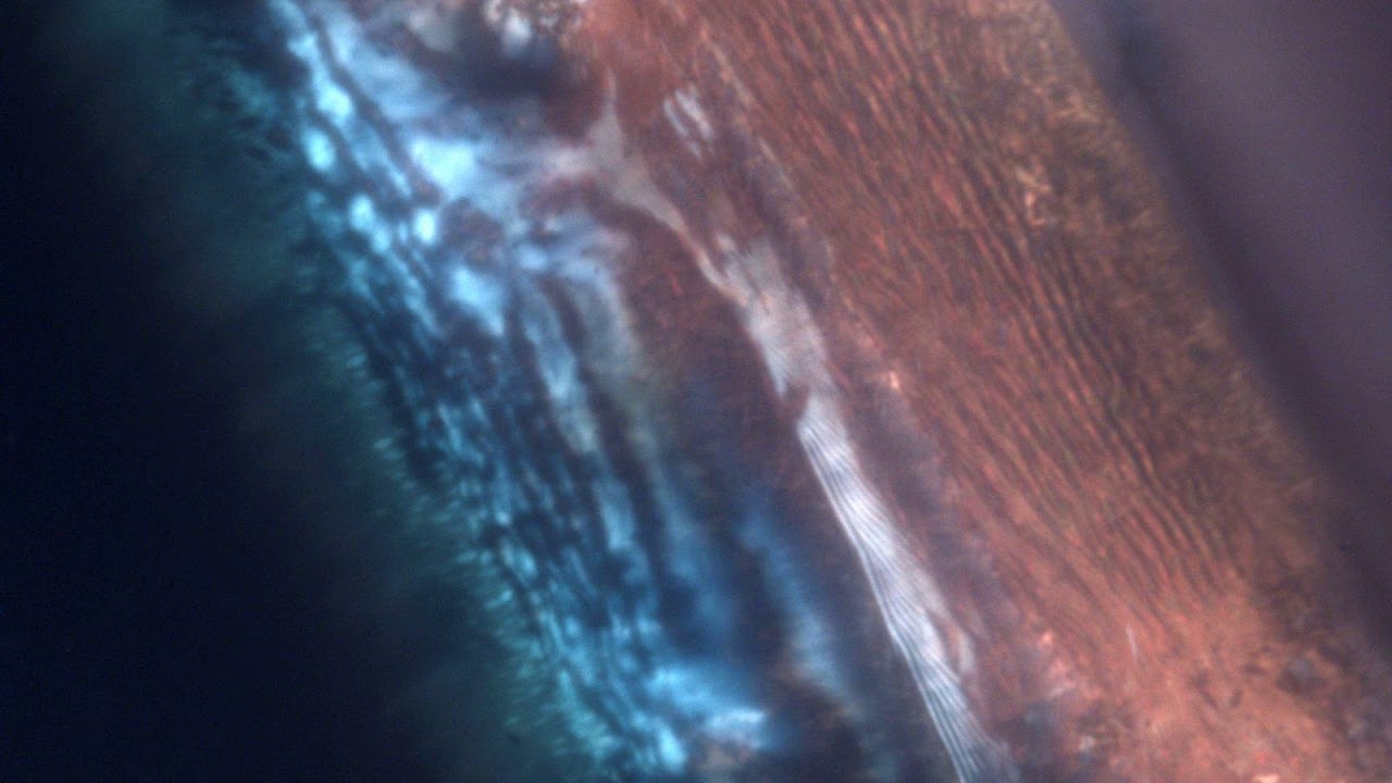 Liquid crystal polymer transformation