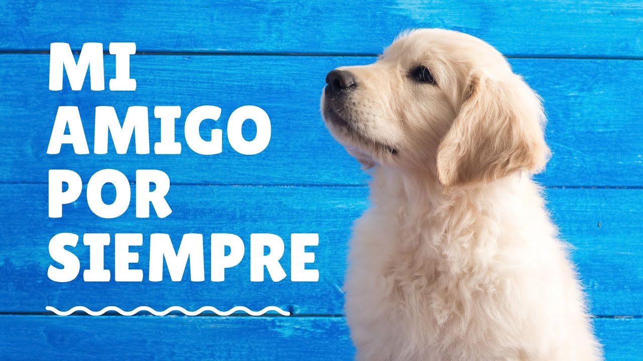Canción para mi mascota que se fue 🐾💔