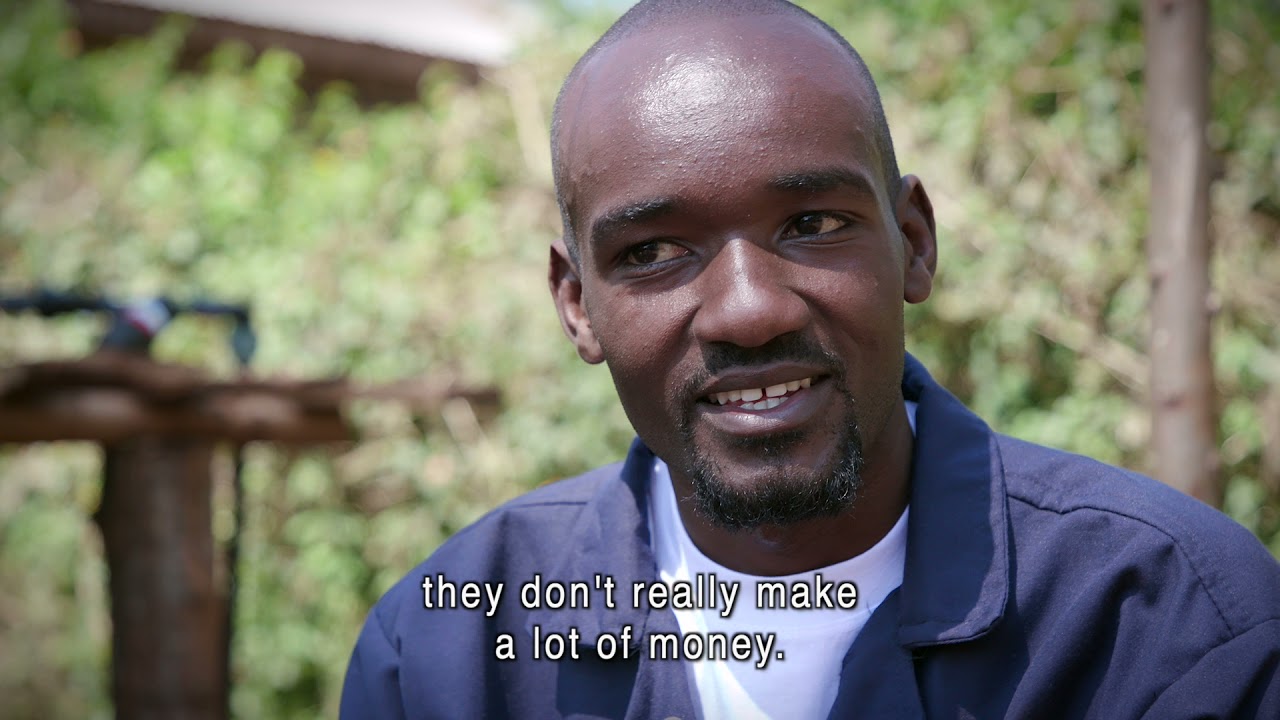Paul's story: Youth in agribusiness in Kenya