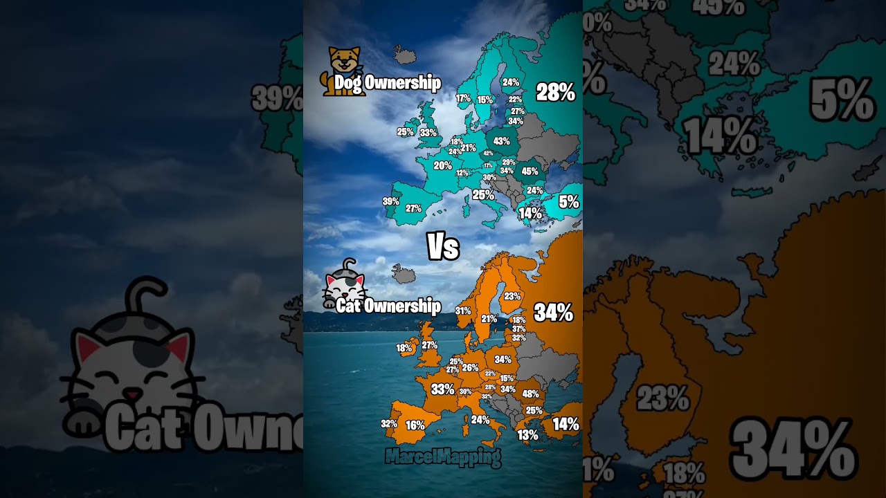 Dog Vs Cat Ownership In Europe