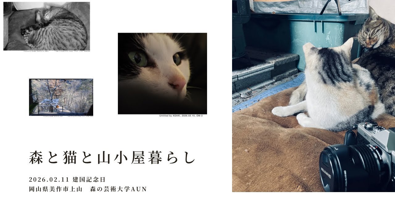 森と猫と山小屋暮らし　2026.02.11建国記念日
