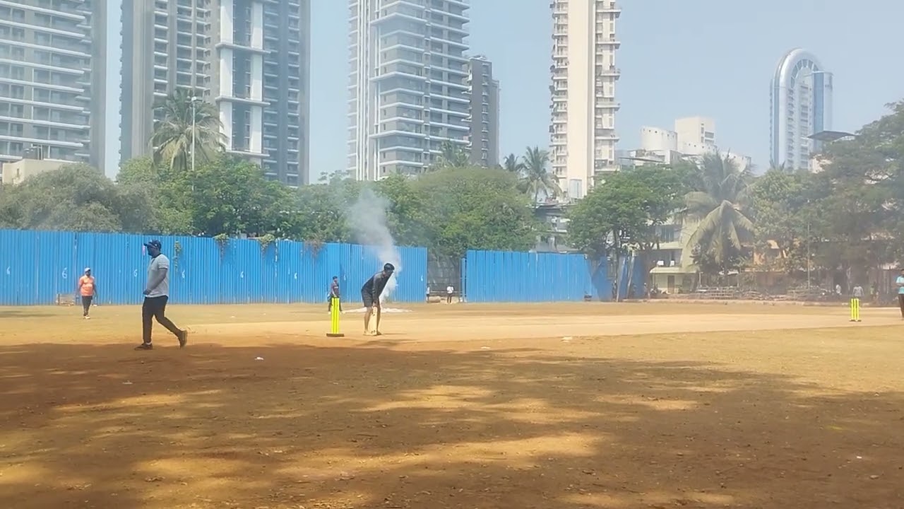 Cricket 