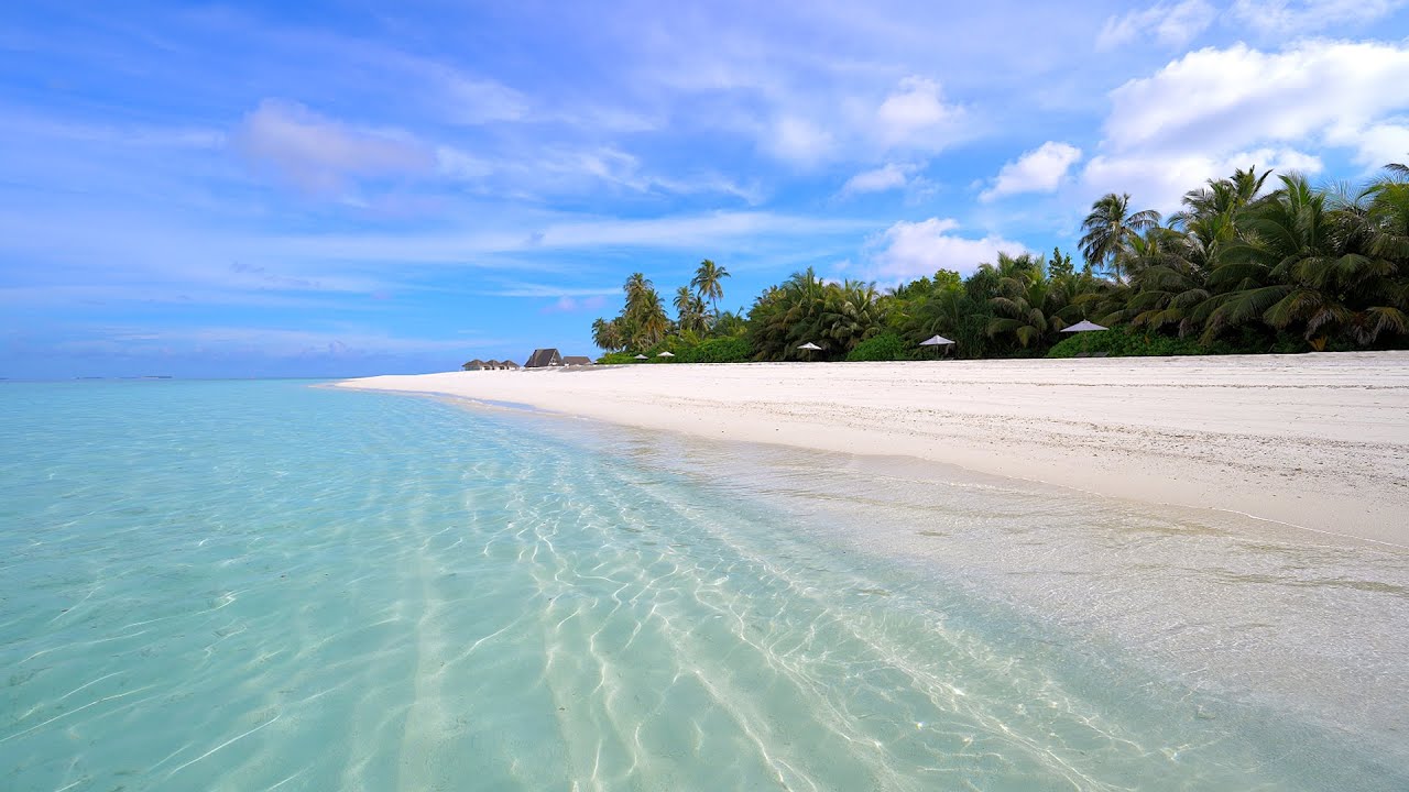 🏝 Turquoise Ocean Water and Wild Beach! Maldives 4K ULTRA HD