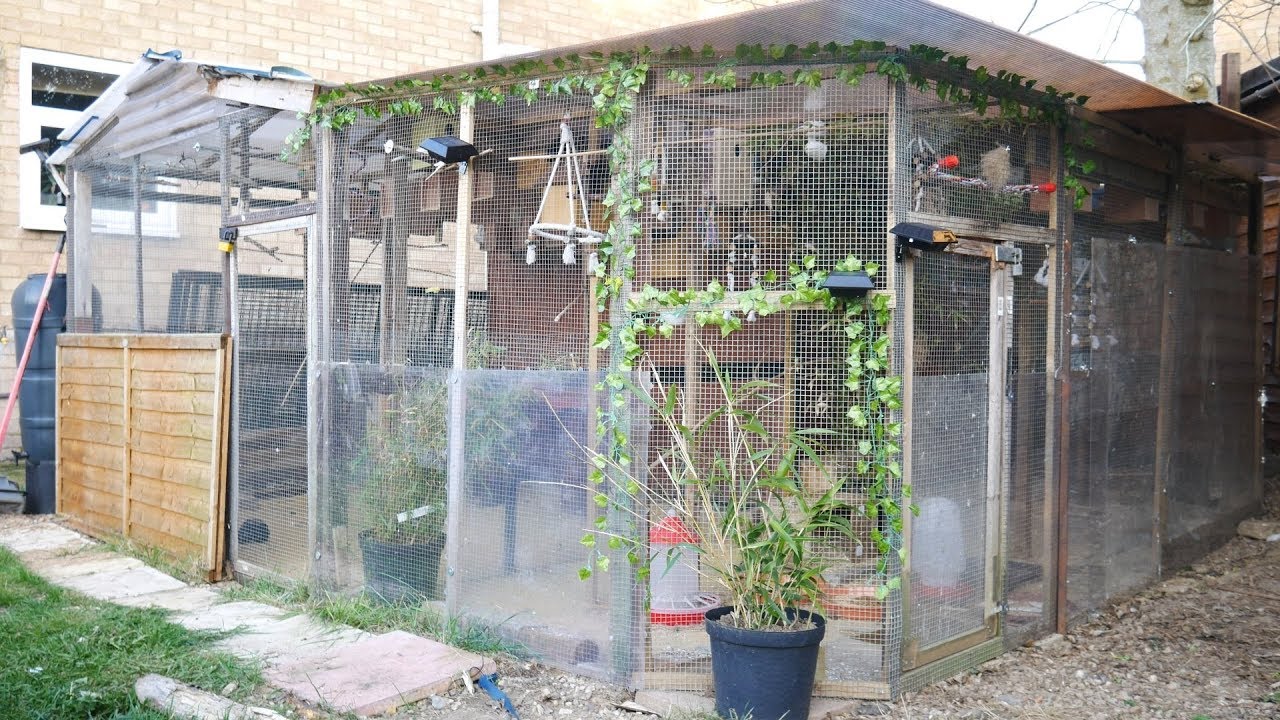 2019 Breeding Season - New Aviaries and Birds