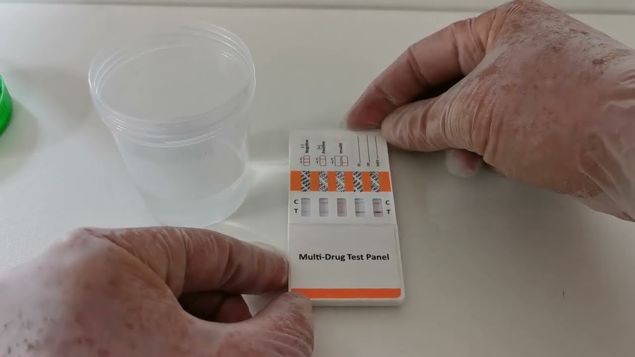 How to run a Multi-Panel Drug Test Kit