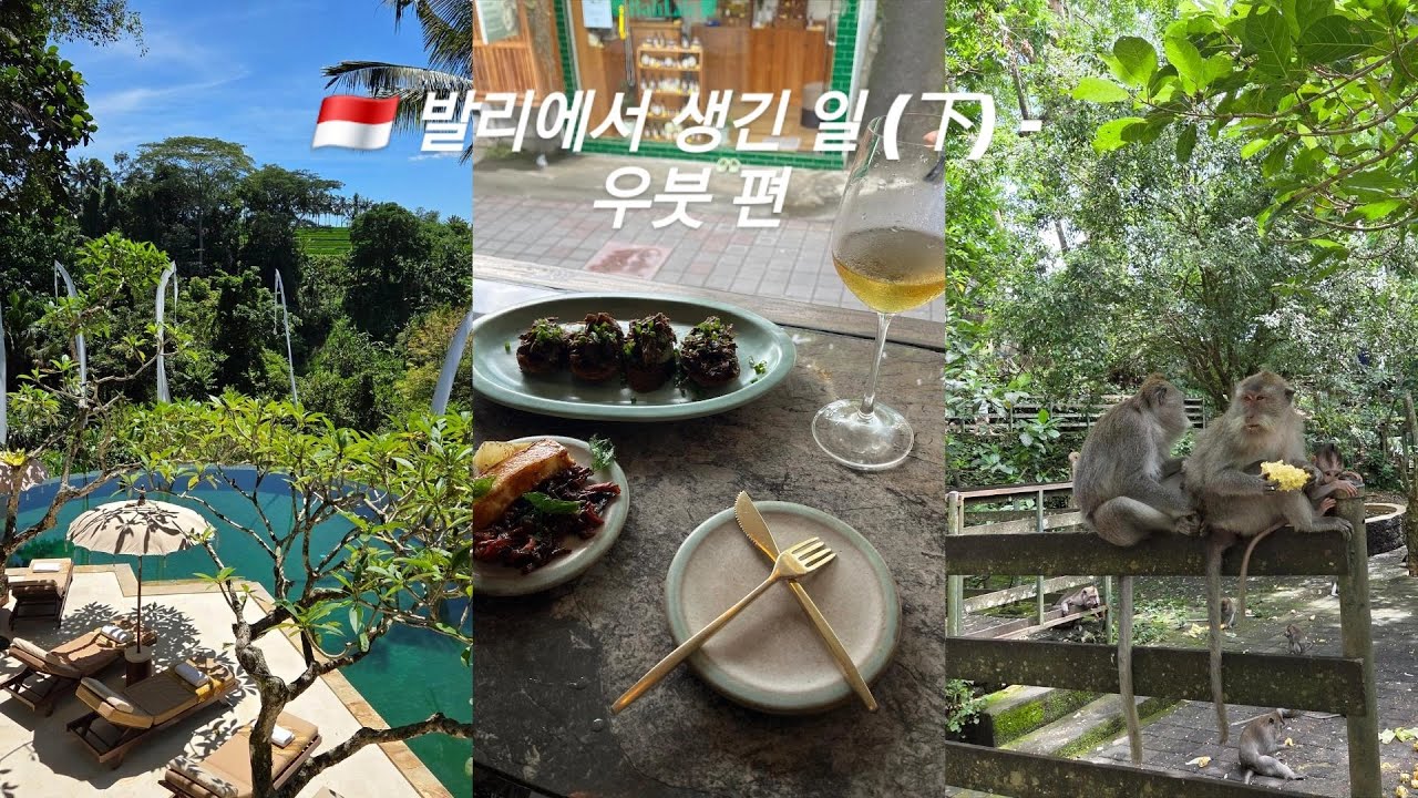 🇮🇩 발리에서 생긴일 (下) : 11월 발리의 우기 여행 (우붓 편 - 코마네카, 요가 클래스, 몽키 포레스트, 코코 마트) 🐒🌳