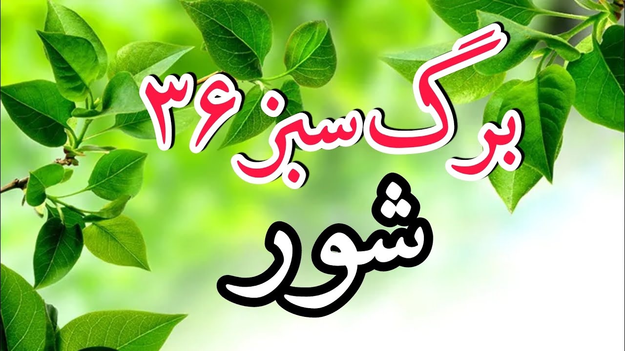 برگ سبز شماره 36