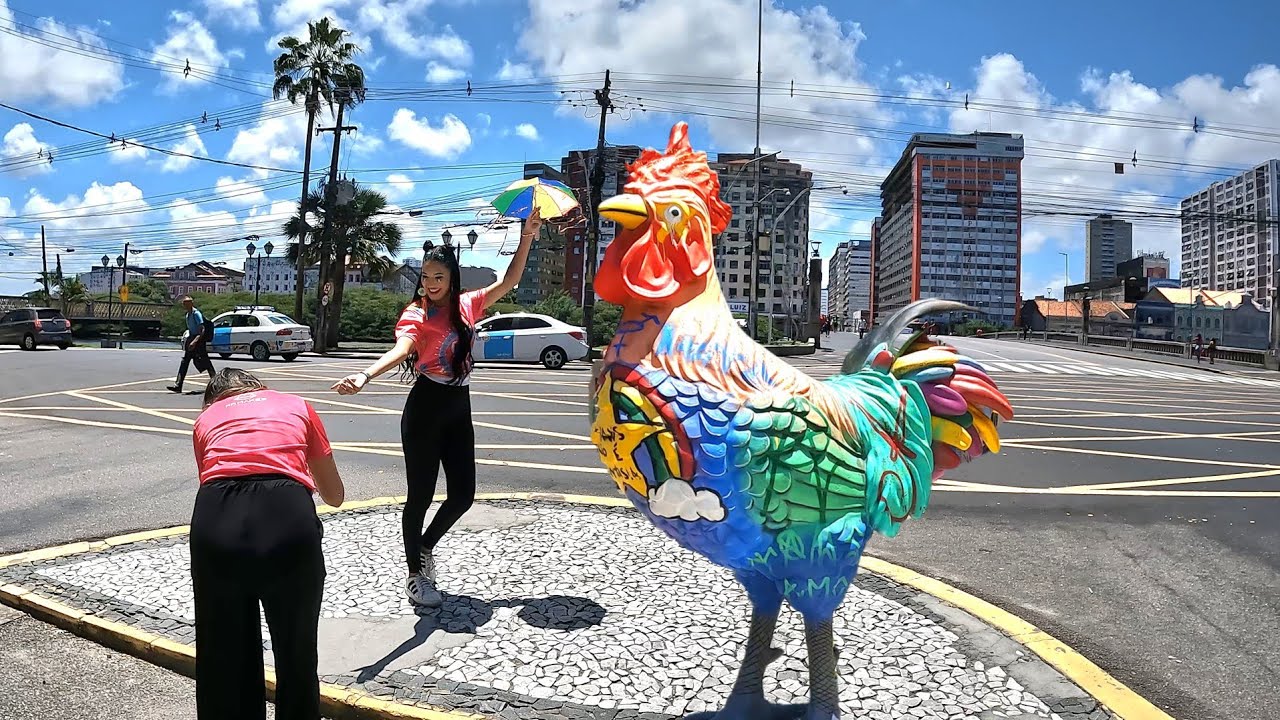 RECIFE GALO DA MADRUGADA CAMAROTES 2025 O TRAJETO ATE A PONTE DUARTE COELHO Brazil