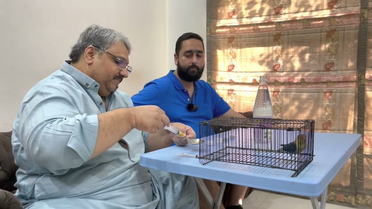 Treatment For Sokra