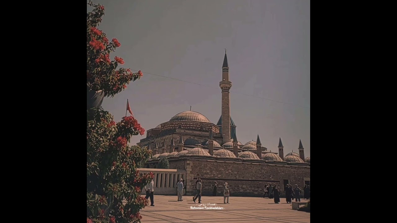 Mevlana Celaleddin Rumi - Demedim mi