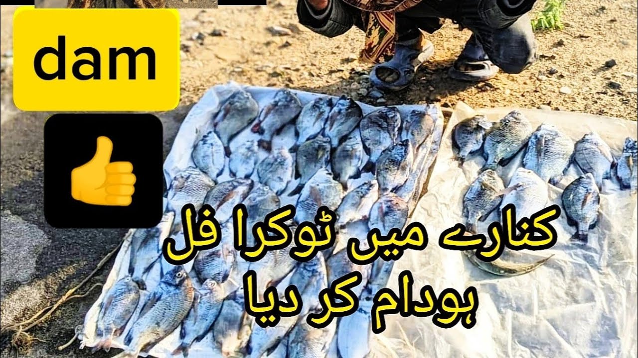 Dam k juwar Pani me batreen shikar 😍 new sal ki tabahi fishing 😘😋