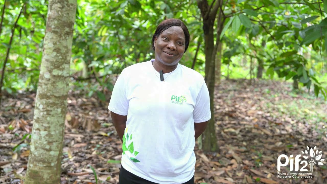 Immersion au cœur de l'agroforesterie 🌿