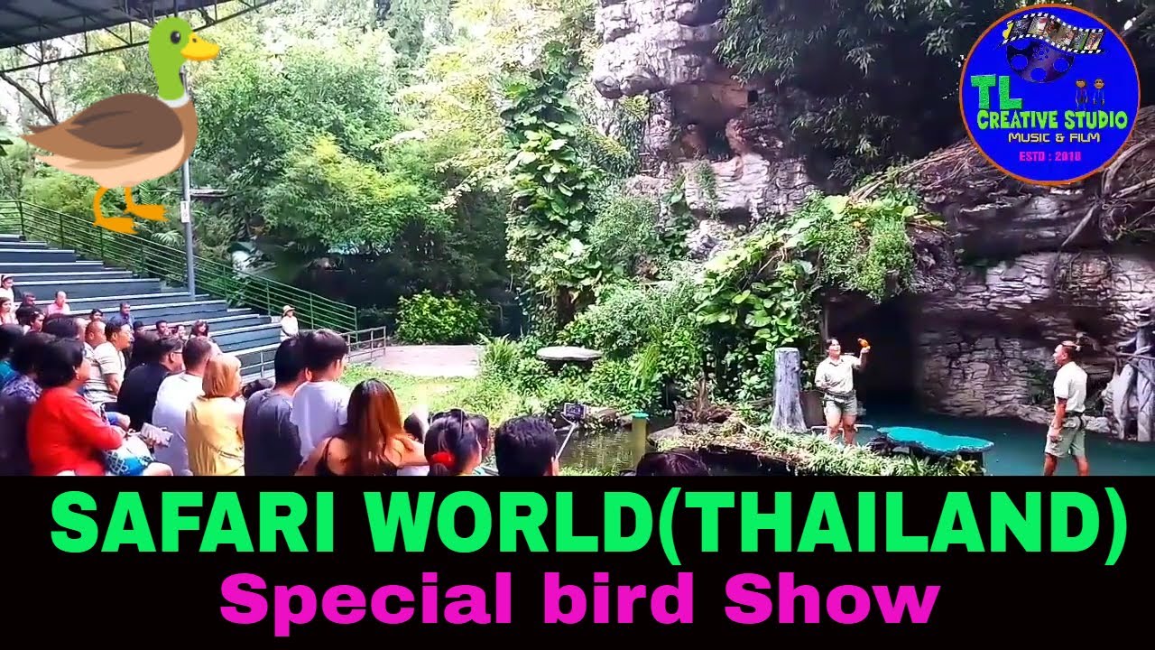 Safari World(Thailand) Bird Show@tlk969
