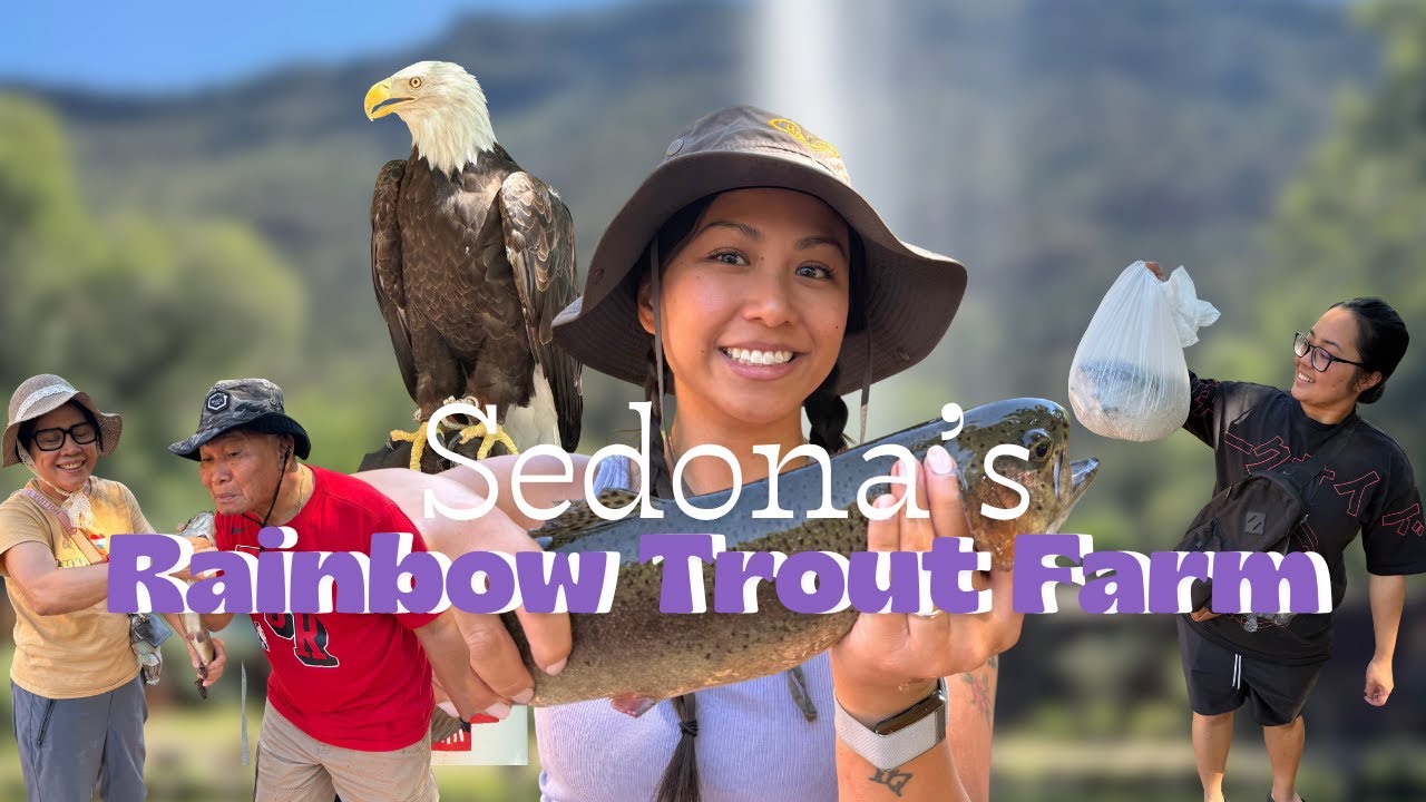 Sedona's Rainbow Trout Farm