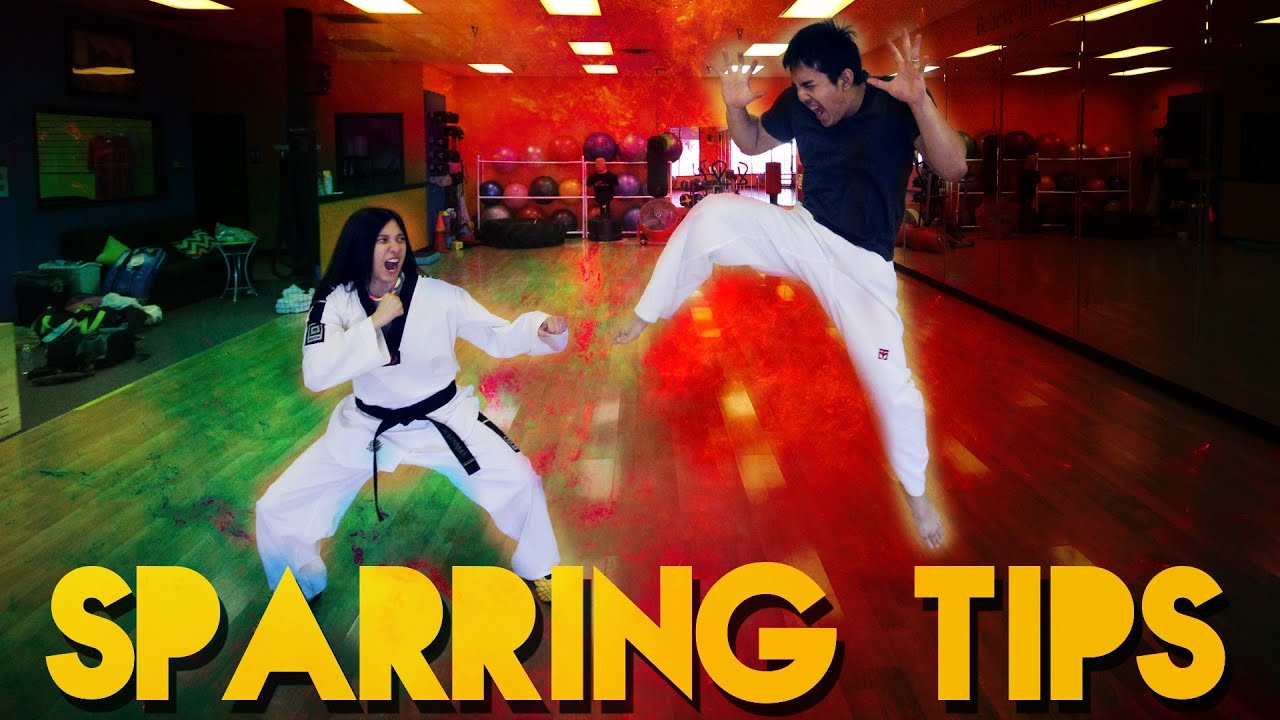 TKD Sparring Tips - Check Motion