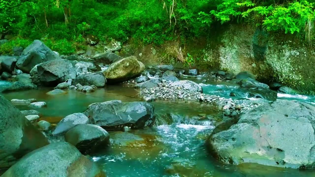 Sleep Soundly with Peaceful River Melody and Calm Water Sounds in Peaceful Forest