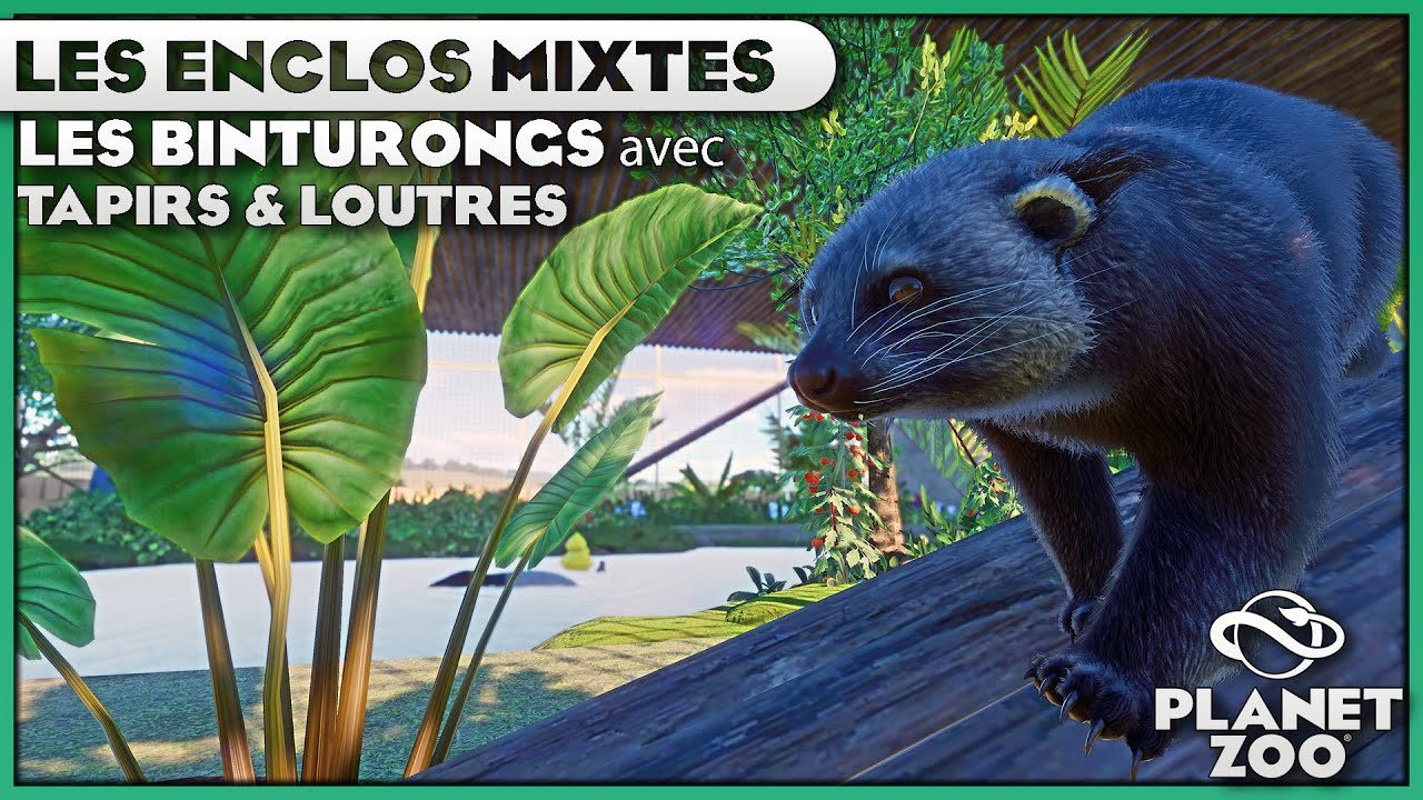 Enclos des Binturongs, Loutres, Tapirs... (et bugs) | LES ENCLOS MIXTES : EPISODE 5 | PLANET ZOO