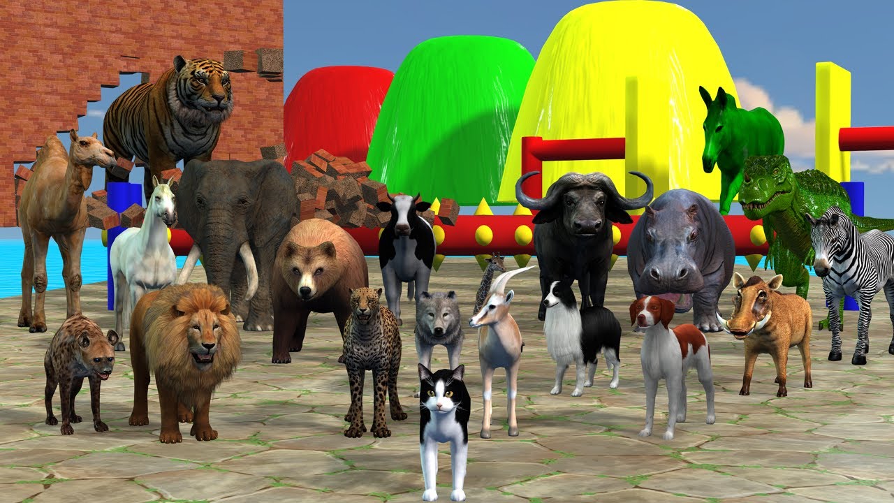 Long Slide Game With Cow Elephant Gorilla Hippopotamus Tiger 3d Animal Game Funny 3d Animals