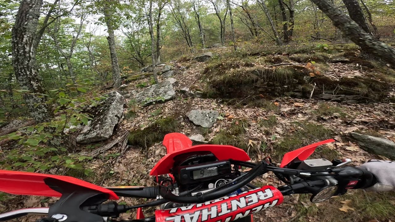 CRF450RL Trail Ride, штатный блок управления не очень хорош