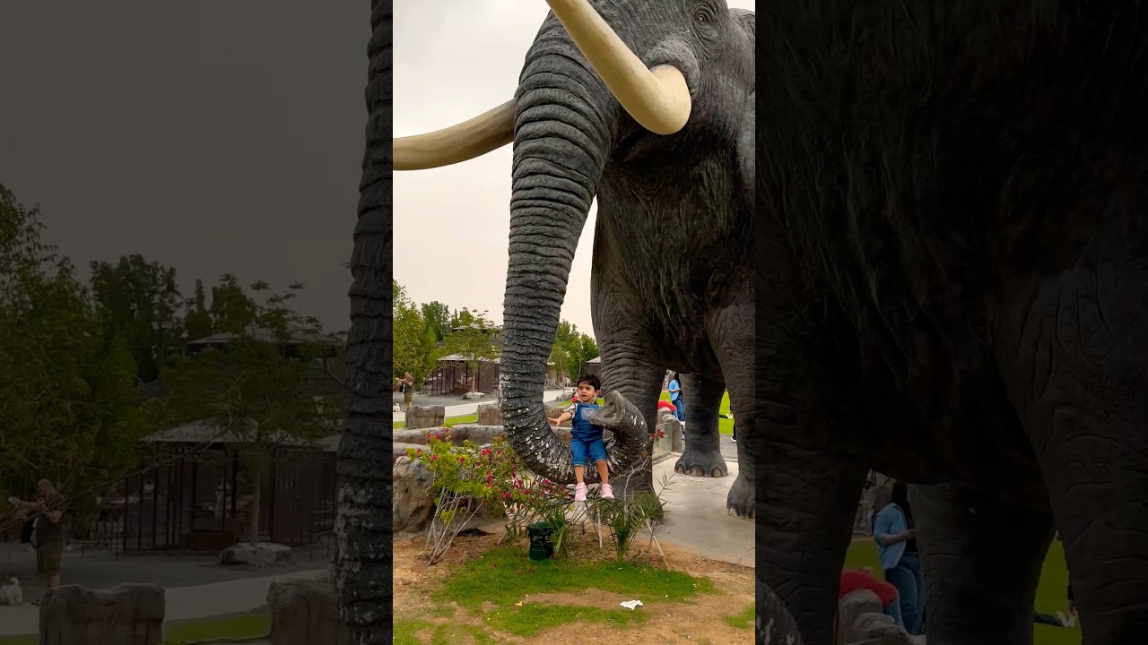 അയ്യോ എന്നെ രക്ഷിക്കണെ പേടിയാ #shorts #shortsfeed #shortsviral #aana #elephant #ആന