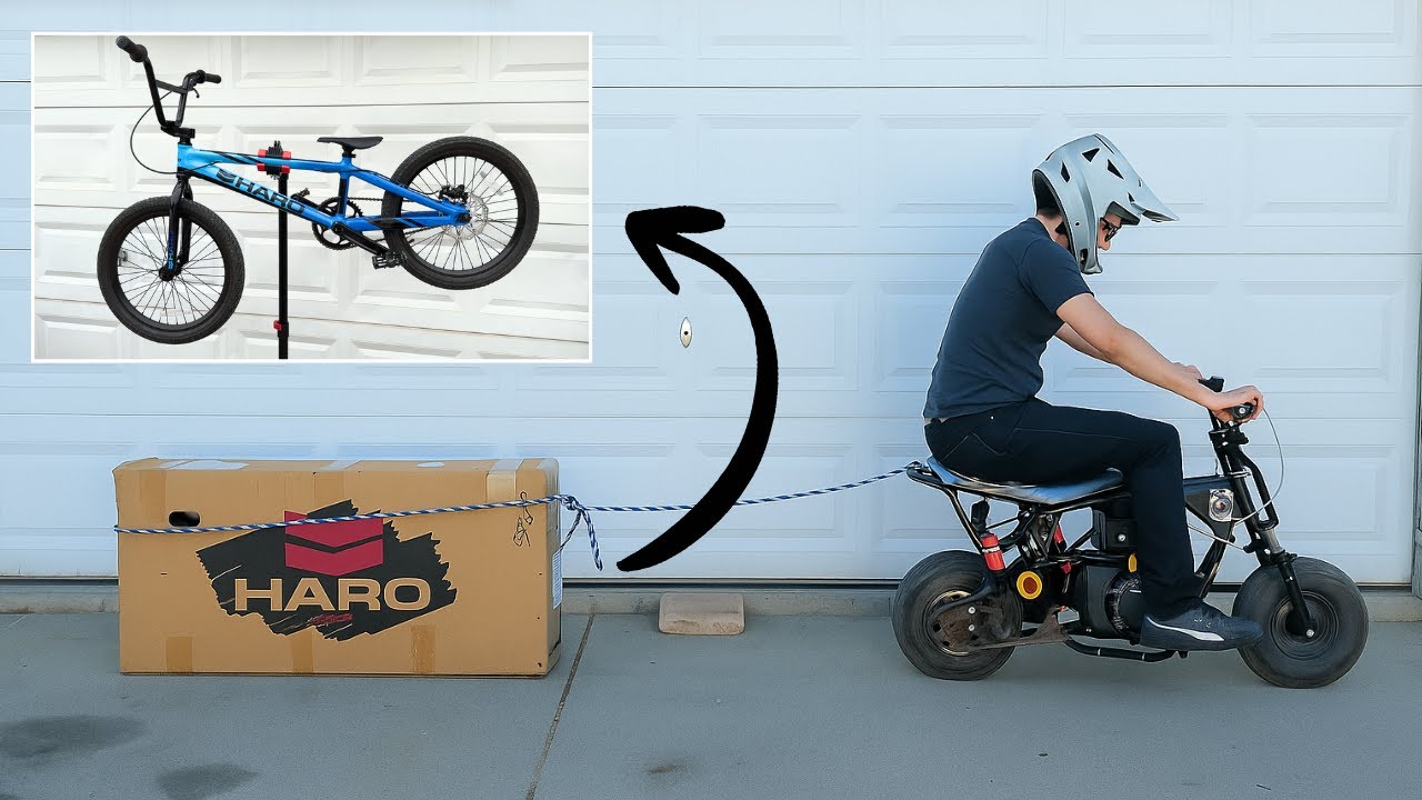 Haro Race Lite Pro XL | 2024 20