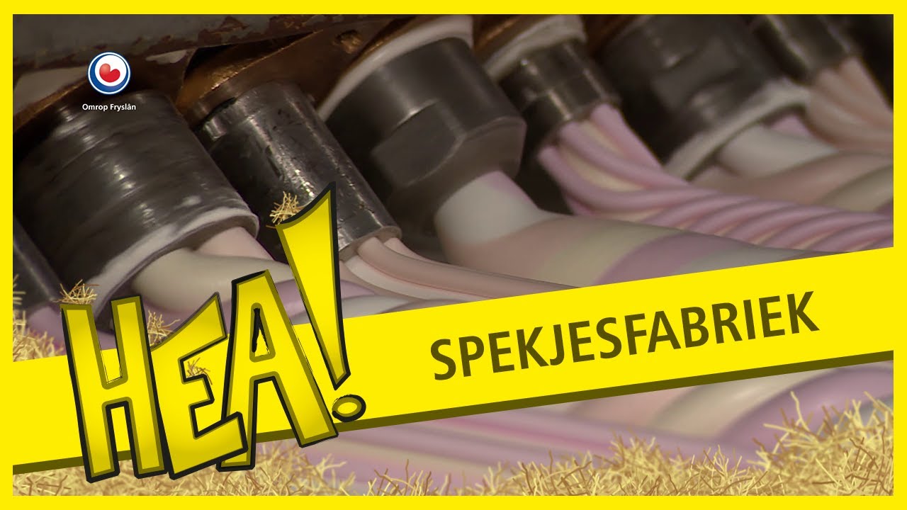 De spekjesfabriek | HEA!