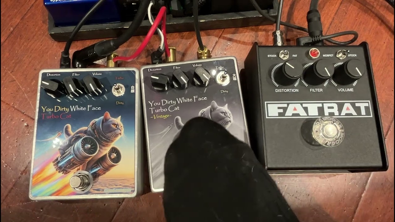 FATRAT（+LM308N）とThe Cat2種比較