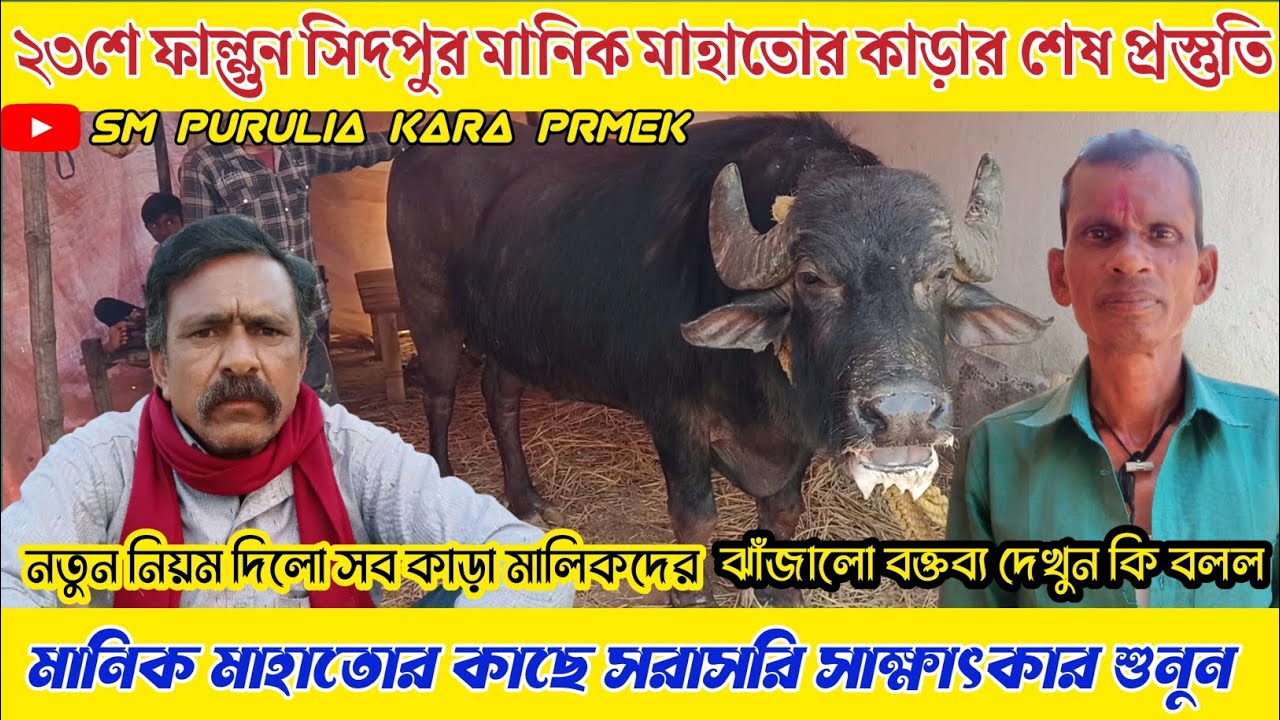 ২৩শে ফাল্গুন রাওতোড়া আসরে সিদপুর মানিক মাহাতোর কাড়ার শেষ প্রস্তুতি!মালিকের ঝাঁজালো বক্তব্য শুনুন।।
