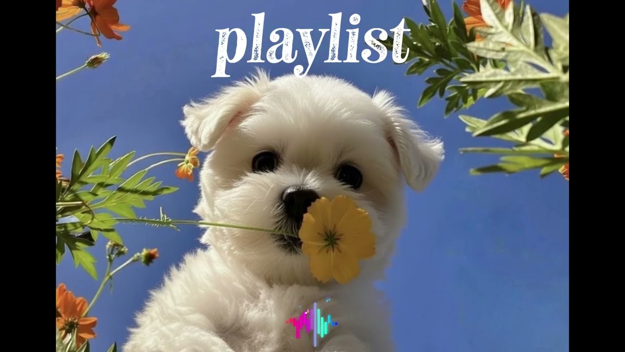 𝗽𝗹𝗮𝘆𝗹𝗶𝘀𝘁 “지금 계절에 어울리는 감성 힙합 R&B POP” |  카페플리 · 매장음악 · mood · 노동요 · 공부 · 플레이리스트 |🎶