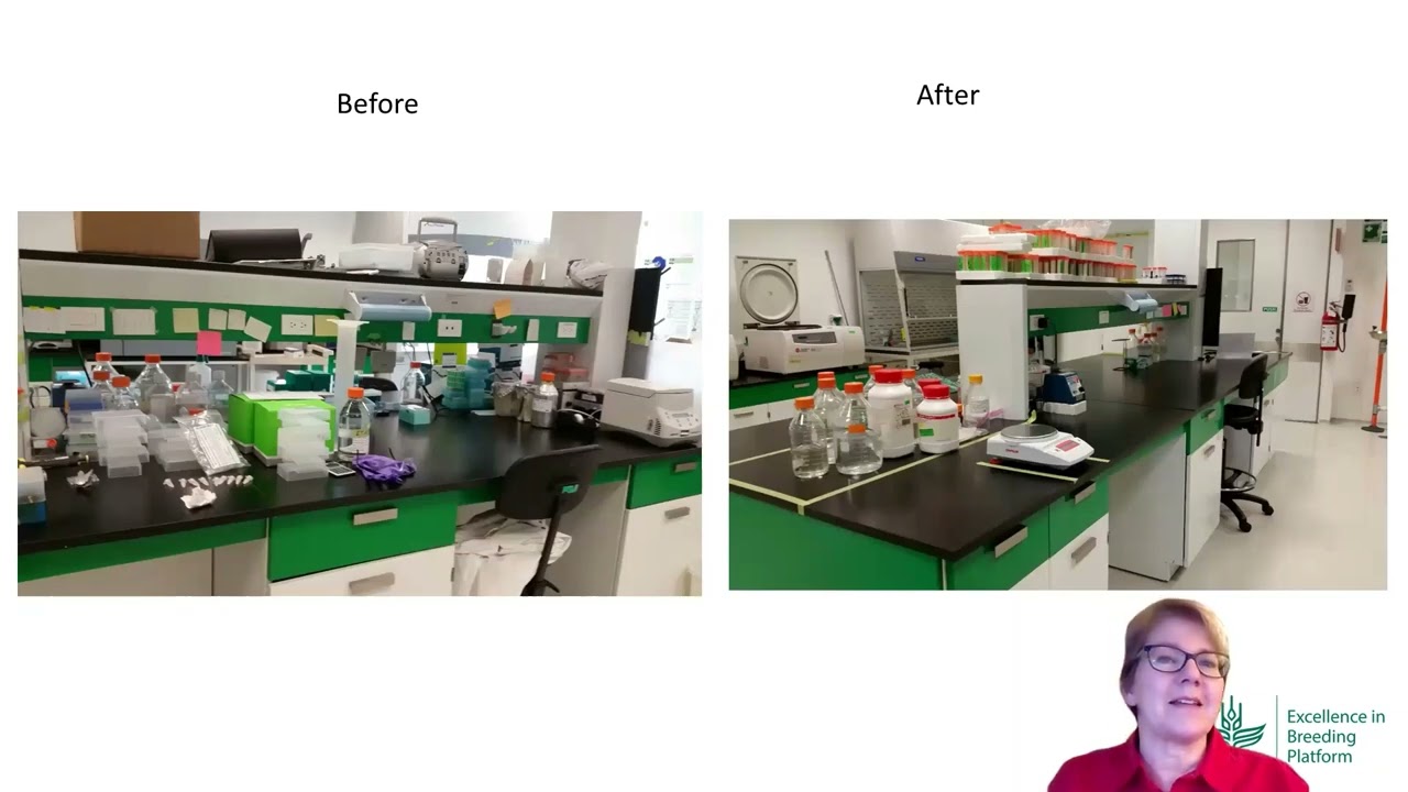Practical Lean Course: 5S Workplace Organization