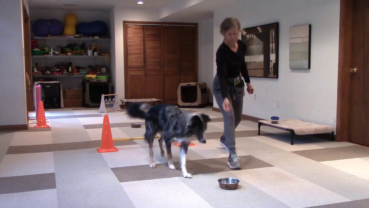 Vito Game Independent jump