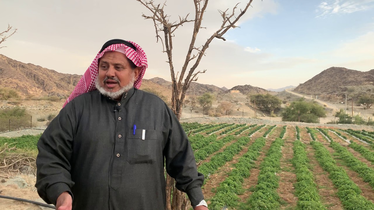 حال الزراعة والمياة في العقيق الباحة ترحم
