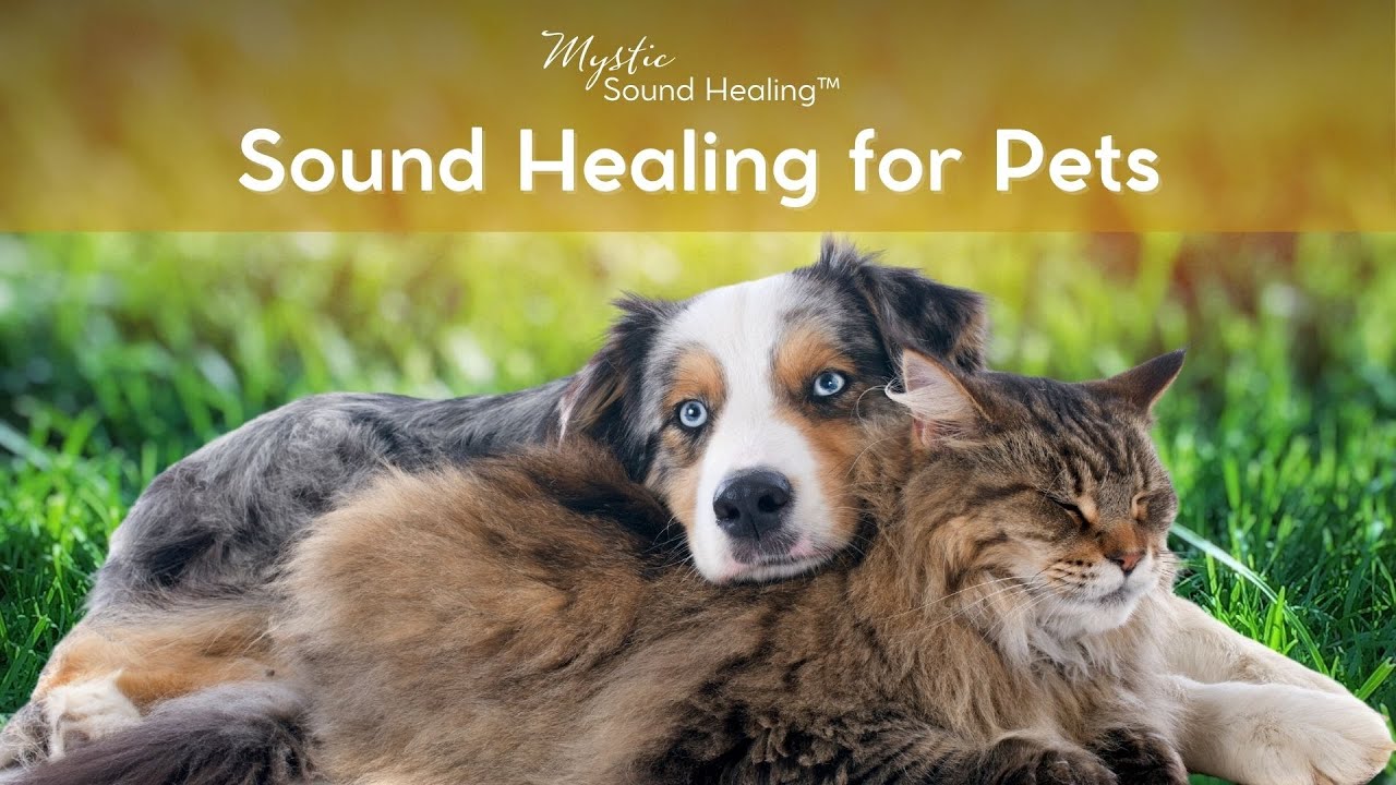Sound Healing for Pets with Tibetan Singing Bowls | 9-hours of Soothing Music for Separation Anxiety