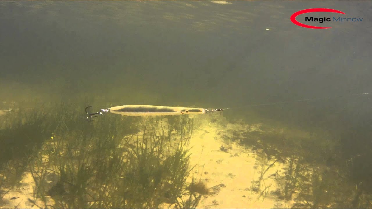 Magic Minnow Kongetobis - Piscari.se