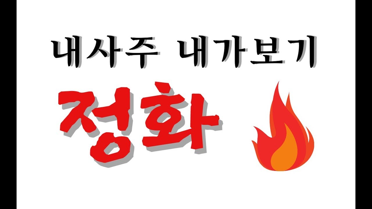 내사주보는법-정화일간,정화의 특징