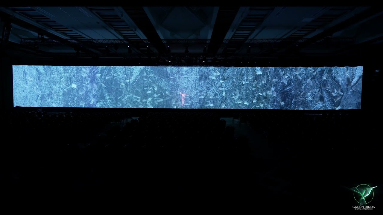 WİNSA 25 YEARS OPENING SHOW
