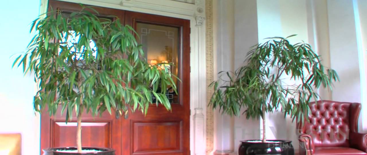 The Banking Hall - Conference Room at The Westin Dublin Hotel