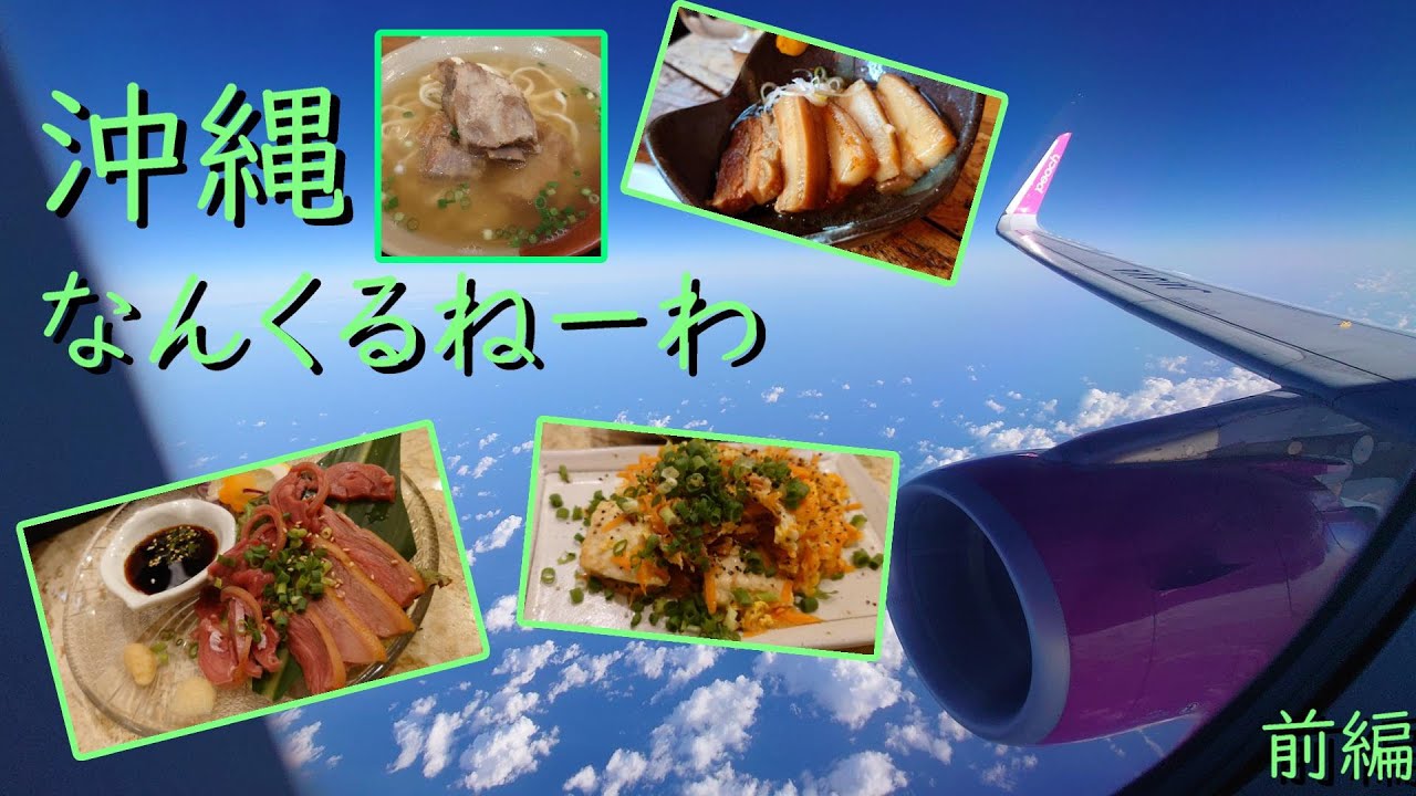 【酒クズ日記】男3人 沖縄国際通りで限界酒飲み旅行 -前編-【オリオン泡盛ハブショット】