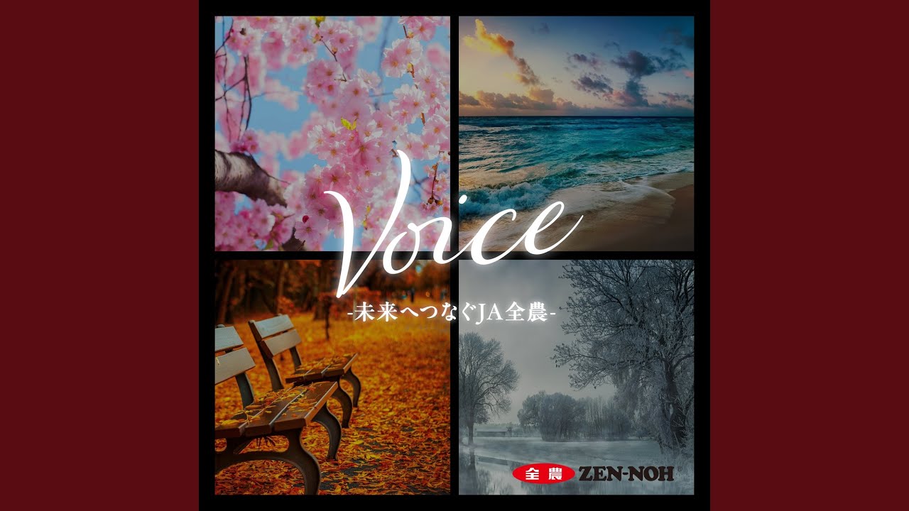 Voice