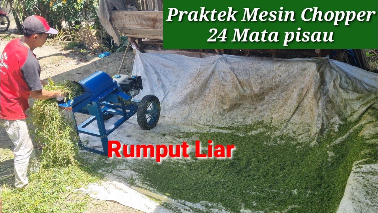 Mesin Cacah Rumput 24 Mata pisau super halus - Praktek Chopper Rumput liar dan Rumput odot Ibrahim