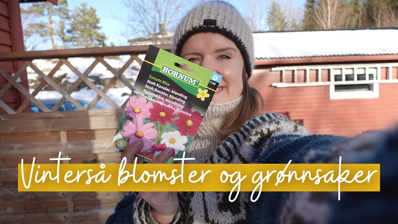 Slik vintersår jeg blomster og grønnsaker!
